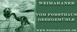 www.weimaraner.de